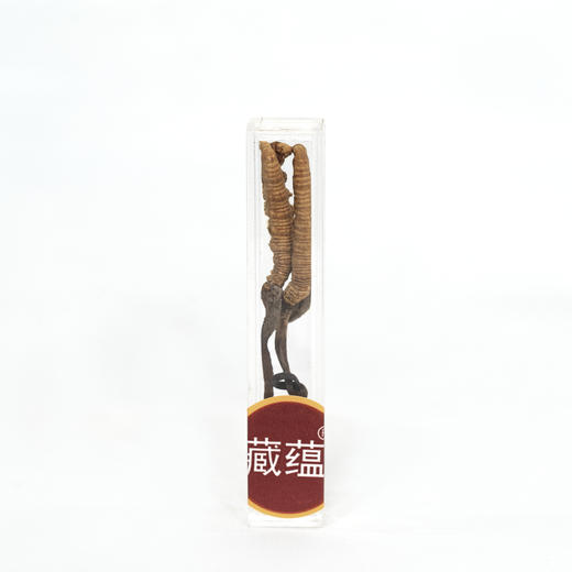 正安好礼·藏蕴冬虫夏草  来自青海的好虫草 商品图4
