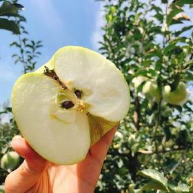 青森水蜜桃味青苹果 3-4.5斤  彩箱装