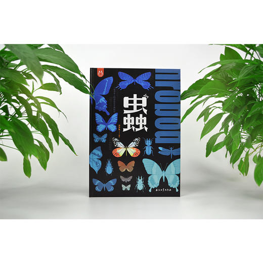【精装】蟲：一座书本上的昆虫艺术博物馆 赠 书签+ 明信片 商品图2