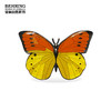 贝林自然世界-上海自然博物馆-自然瑰宝蝶纷系列盲盒 商品缩略图1