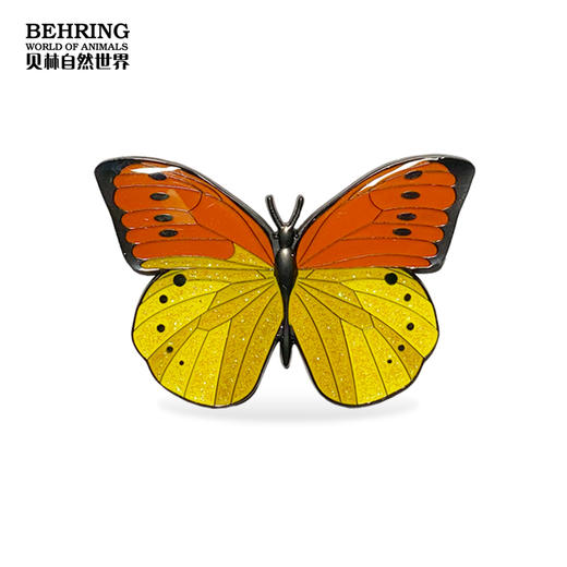 贝林自然世界-上海自然博物馆-自然瑰宝蝶纷系列盲盒 商品图1