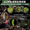 生命的故事（1-4辑）（共42册）科普百科摄影绘本图画书 商品缩略图5