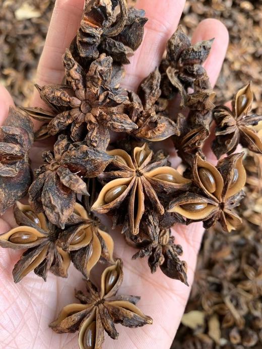 一年一次！真正无硫磺 天然晾晒 野生八角 那份天然香气 来自良心把控 |百里食 商品图2