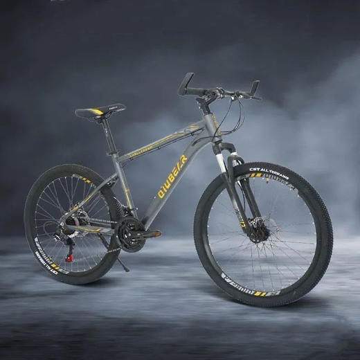 通州大运河山地变速自行车租赁，助您骑游世界文化遗产大运河 商品图0