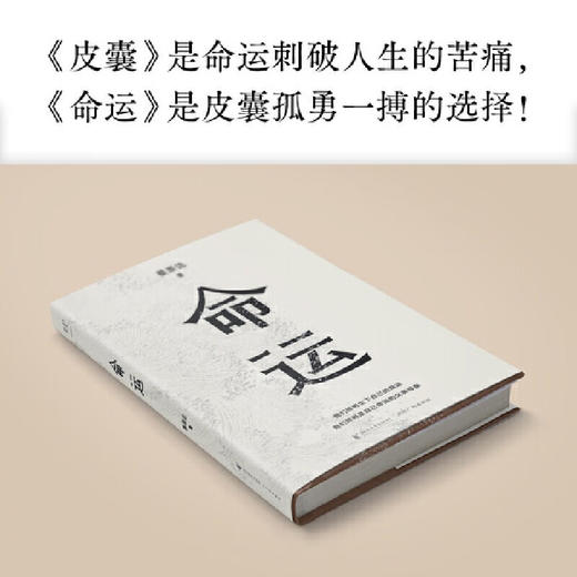 命运 商品图1