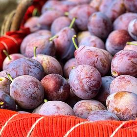 新疆西梅 （礼盒装）