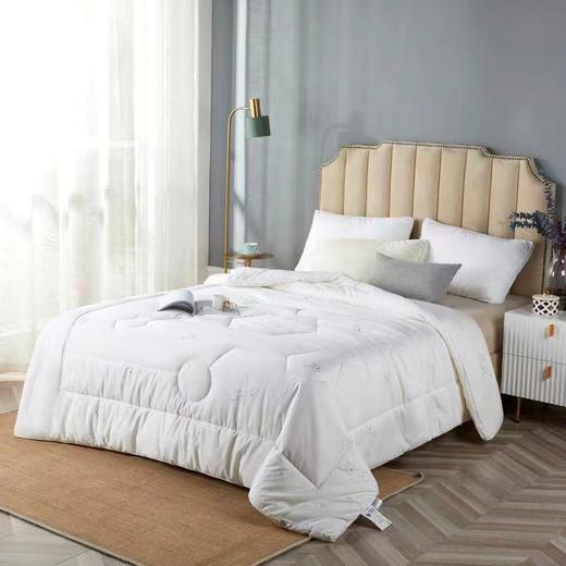 【恐龙厅】B7F丨  恐龙康帕银离子抗菌被-四季 商品图0