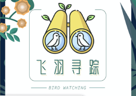【南古馆】飞羽寻踪 | 寻找鸟类精灵，感受自然灵动
