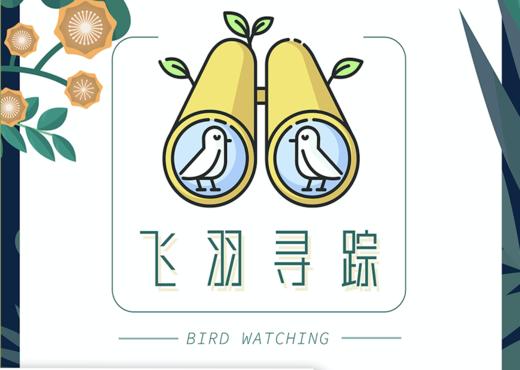 【南古馆】飞羽寻踪 | 寻找鸟类精灵，感受自然灵动 商品图0