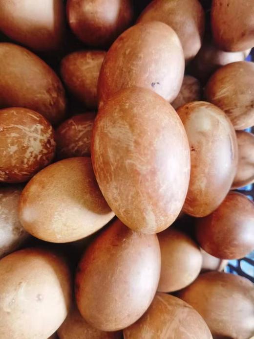 五香烤鹅蛋5个（拼团） 商品图1