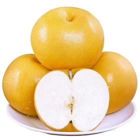 金秋蜜梨纯甜无渣一份4斤