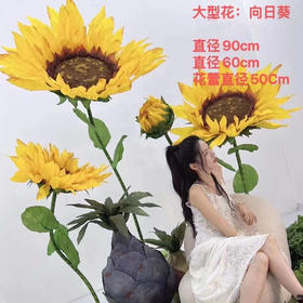 向日葵三件套（运费自理）