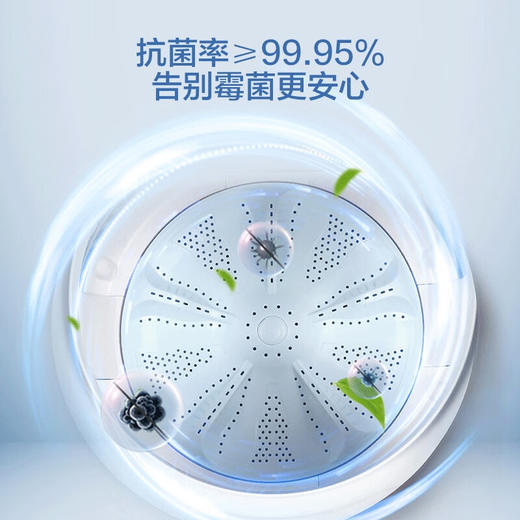 海尔（Haier) 波轮洗衣机全自动家电 10公斤直驱变频 蝶型水流 除螨洗 EB100B20Mate1 商品图4