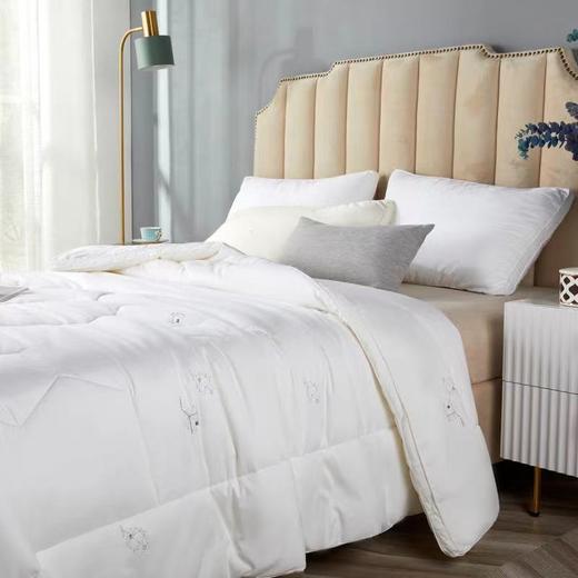 【恐龙厅】B7F丨  恐龙康帕银离子抗菌被-四季 商品图1