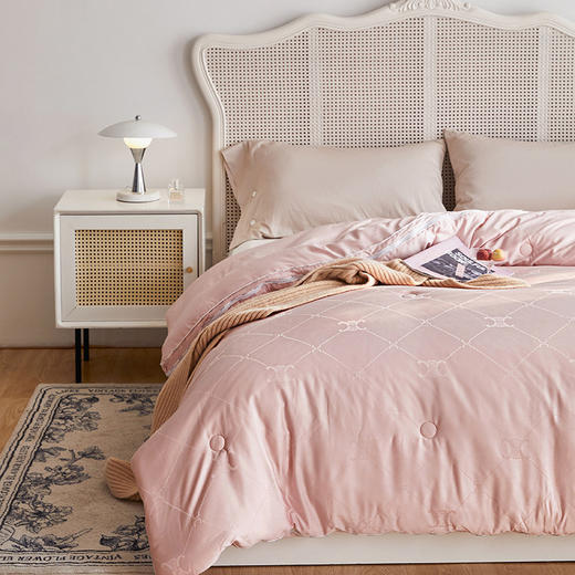 自然醒60提花李官奇大豆子母被 春秋被芯二合一棉被夏凉被空调被被子床品LFS 商品图1