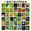 生命的故事（1-4辑）（共42册）科普百科摄影绘本图画书 商品缩略图3