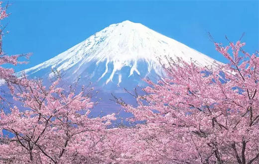 日本3个月单次探亲访友签证北京送签 商品图1