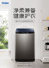 海尔（Haier) 波轮洗衣机全自动家电 10公斤直驱变频 蝶型水流 除螨洗 EB100B20Mate1 商品缩略图0