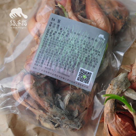 种子·红葱头 | 合作生产 * Shallot | Coproduct 商品图1