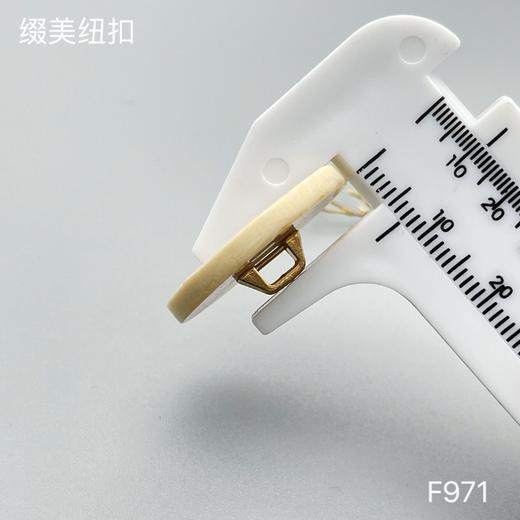 F971(整包购买) 商品图7