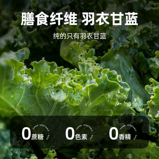 【九九食材】羽衣甘蓝粉蔬菜粉蔬汁膳食纤维150g 商品图1
