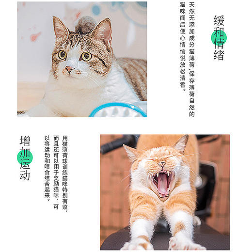 麦斯蒂猫薄荷球袋装14g 舔舔乐猫糖 猫咪零食磨牙 零食批发 商品图2