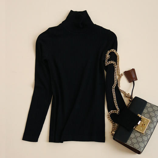 TG-TG03S201秋冬美雅碧高领打底衫女 桑蚕丝混纺高弹力长袖T恤上衣无缝 商品图4