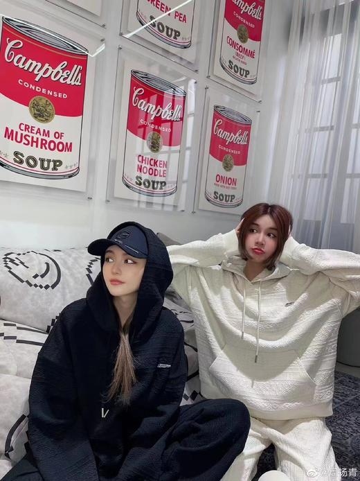 安迪·沃霍尔Andy worhol《金宝汤罐头系列2.0》 商品图5