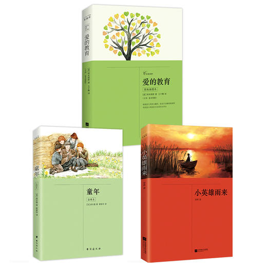六年级上册 快乐读书吧：童年、爱的教育、小英雄雨来（套装全3册） 商品图1