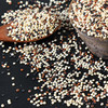 有机三色藜麦 Organic Tricolor Quinoa 商品缩略图1