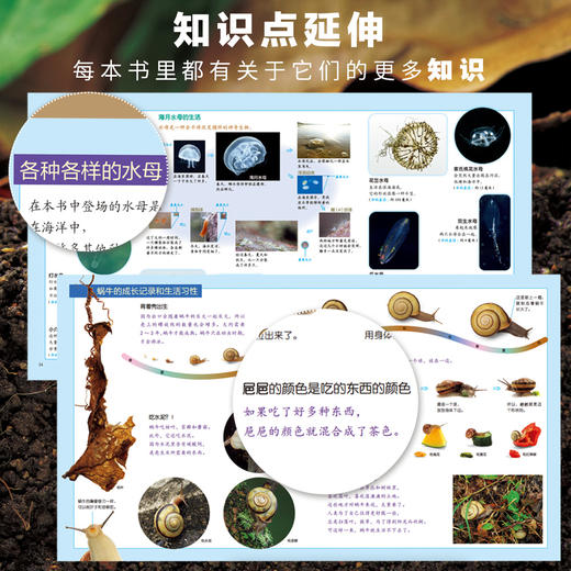 生命的故事（1-4辑）（共42册）科普百科摄影绘本图画书 商品图8
