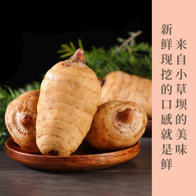 昭通天麻   新鲜现挖的口感就是鲜！ 冬吃萝卜夏吃姜，不如来碗天麻汤！