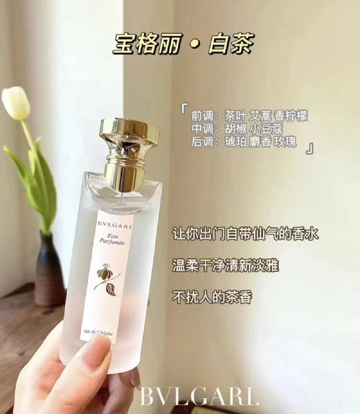 宝格丽白茶香水75ml（微信询价） 商品图0