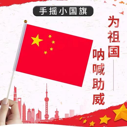 中国小国旗红旗带杆手摇旗手持小五星红旗迷你小国旗装饰7号20×30㎝8号14×21cm100面1包 商品图0
