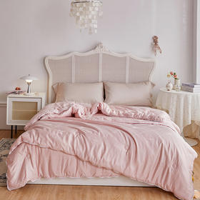 自然醒60提花李官奇大豆子母被 春秋被芯二合一棉被夏凉被空调被被子床品LFS