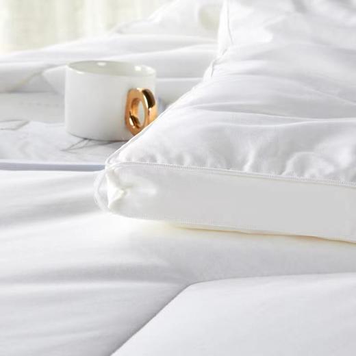 【恐龙厅】B7F丨  恐龙康帕银离子抗菌被-四季 商品图3