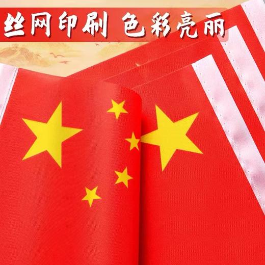 中国小国旗红旗带杆手摇旗手持小五星红旗迷你小国旗装饰7号20×30㎝8号14×21cm100面1包 商品图1