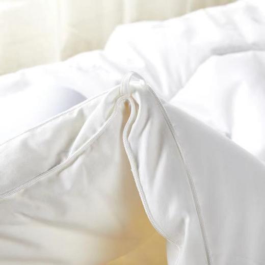 【恐龙厅】B7F丨  恐龙康帕银离子抗菌被-四季 商品图4