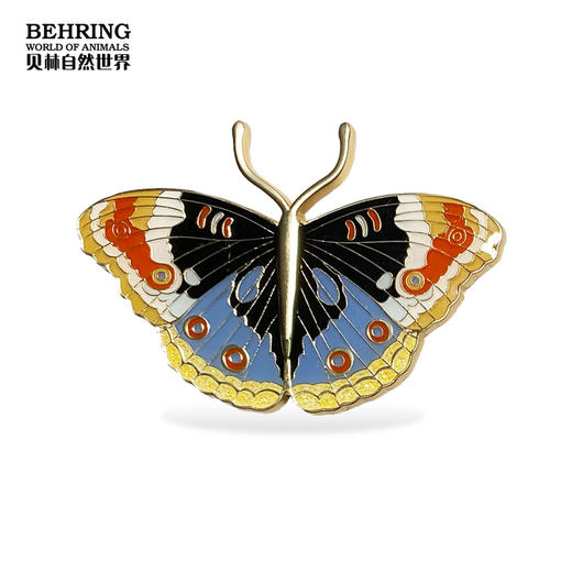 贝林自然世界-上海自然博物馆-自然瑰宝蝶纷系列盲盒 商品图3