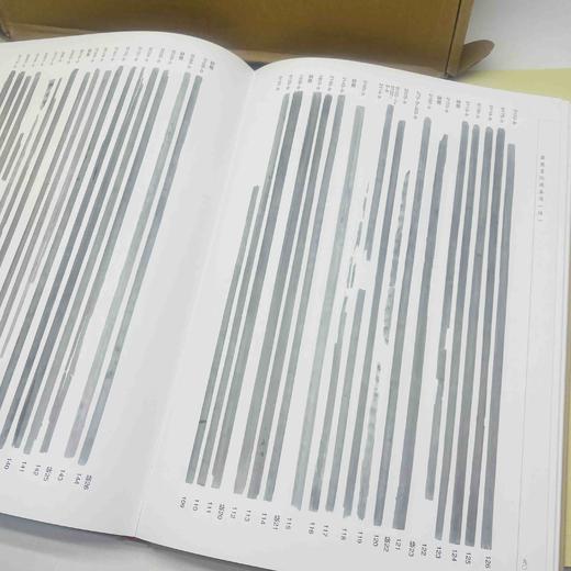 重点推荐：《岳麓书院藏秦简(陆)》
作者: 陈松长 主编
出版社:  上海辞书出版社
出版时间:  2020-05
版次:  1
ISBN:  9787532655137
定价:  1880.00 商品图10