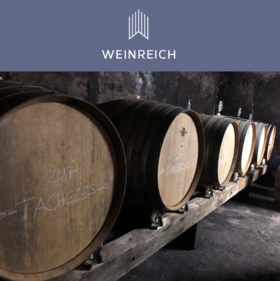  银河上新 | 莱茵黑森的人间尤物 