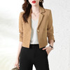 秋季新品，韩版修身短款一粒扣女式时尚小西装HR-YBX326 商品缩略图0