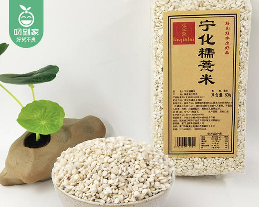 姥家来宁化糯薏米（500g/包）生产日期: 1月 商品图5