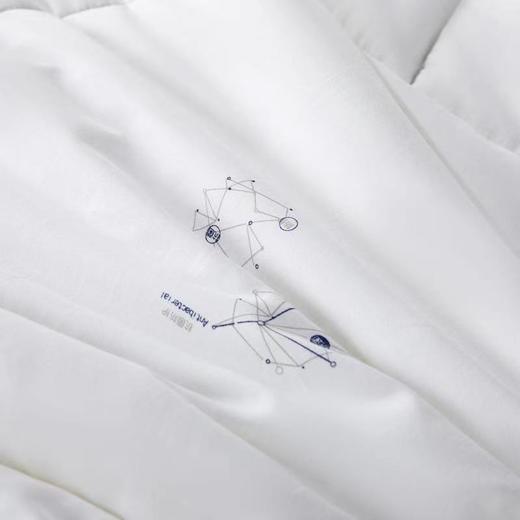 【恐龙厅】B7F丨  恐龙康帕银离子抗菌被-四季 商品图2