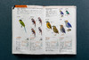中国鸟类观察手册：800余种野外鸟鸣声，4000余幅科学插画，中国鸟类行为动物科普图鉴 商品缩略图5