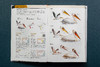 中国鸟类观察手册：800余种野外鸟鸣声，4000余幅科学插画，中国鸟类行为动物科普图鉴 商品缩略图4