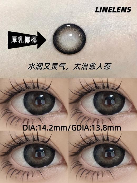 linelens 半年抛 厚乳椰椰 直径14.2mm着色13.8mm 商品图14