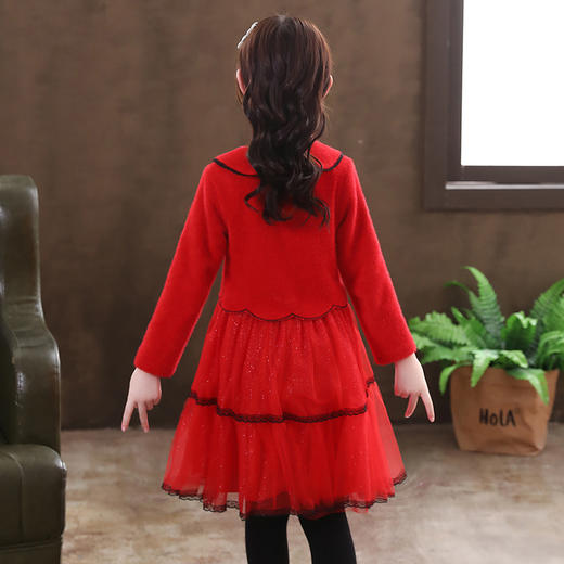 秋装新款童装儿童洋气秋季裙子甜美网纱裙DY82126 商品图3