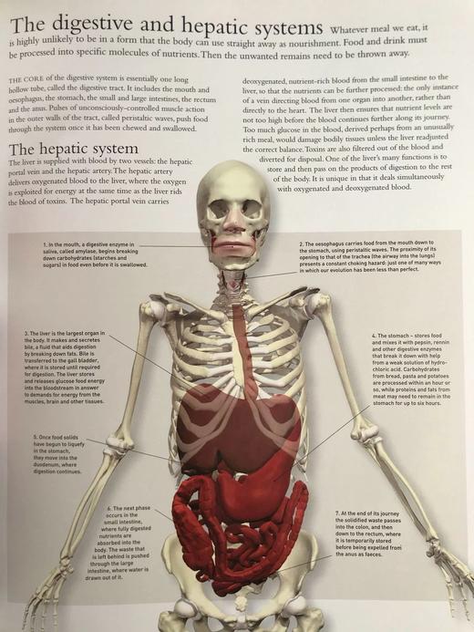 科学权威指南 数百幅彩色插图 精装8开 商品图7