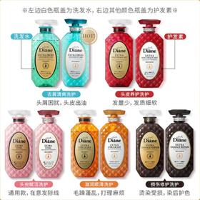 B1黛丝恩致美摩洛奇油洗护发450ml系列 【超市好物】【超市钜惠】【超市洗护】